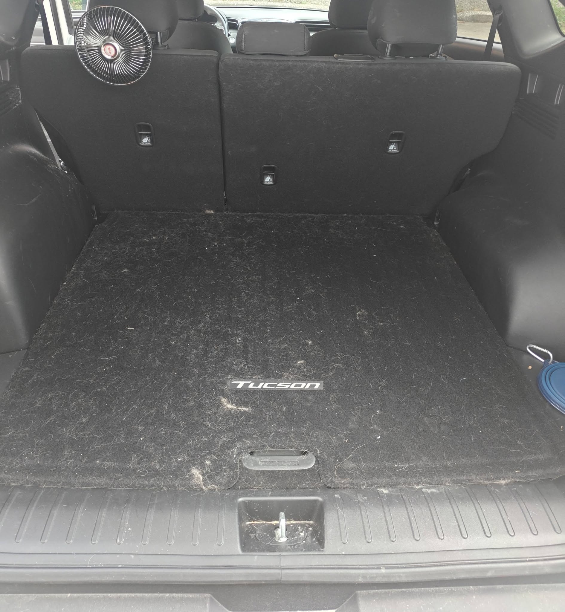 Before detailing